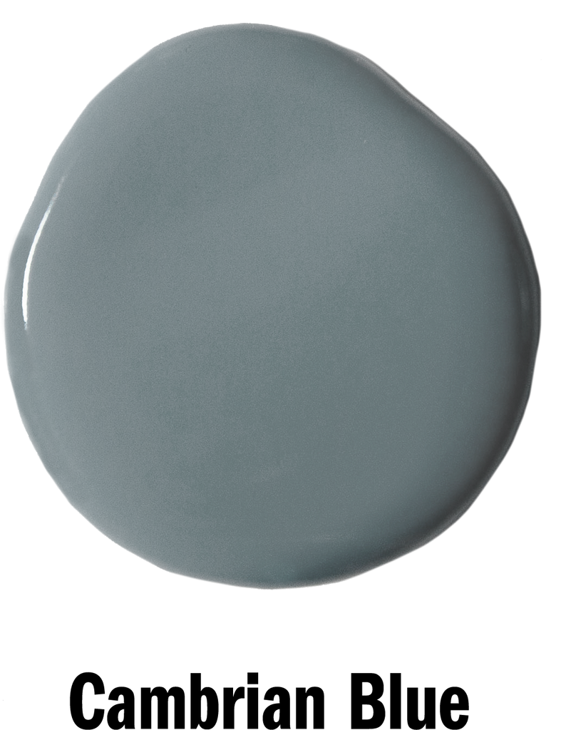 210091 Wall Paint Blob Cambrian Blue.png